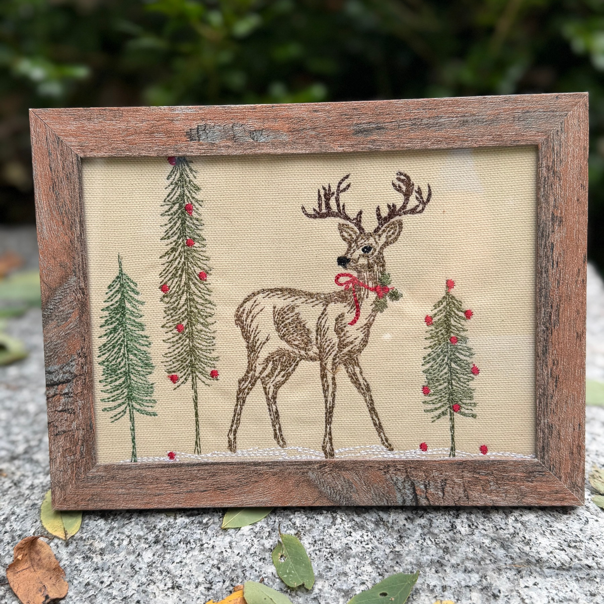 Embroidered Frames