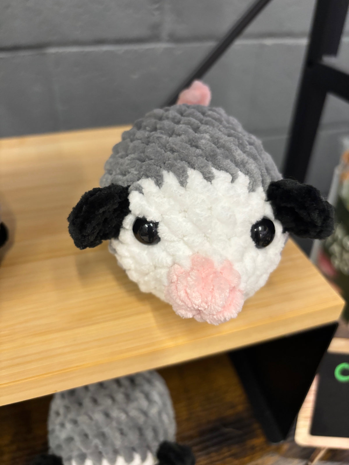 Opossum