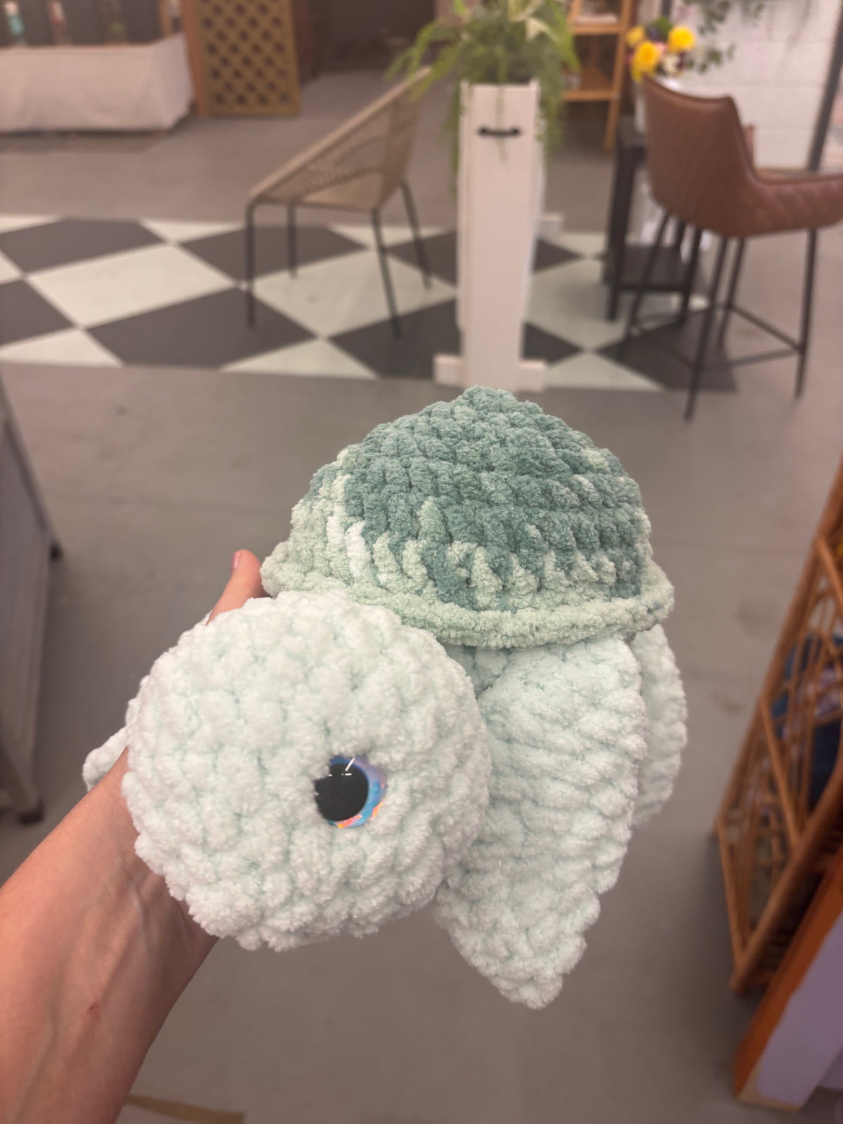 Sea Turtle
