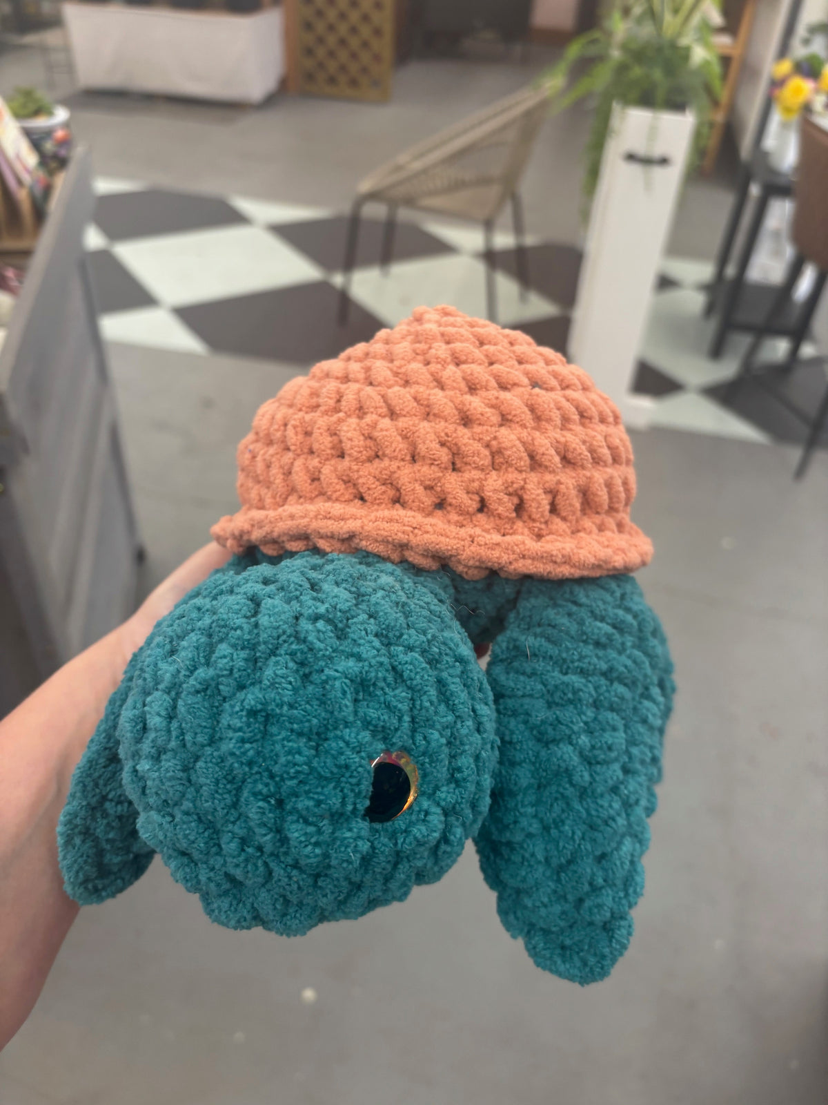 Sea Turtle
